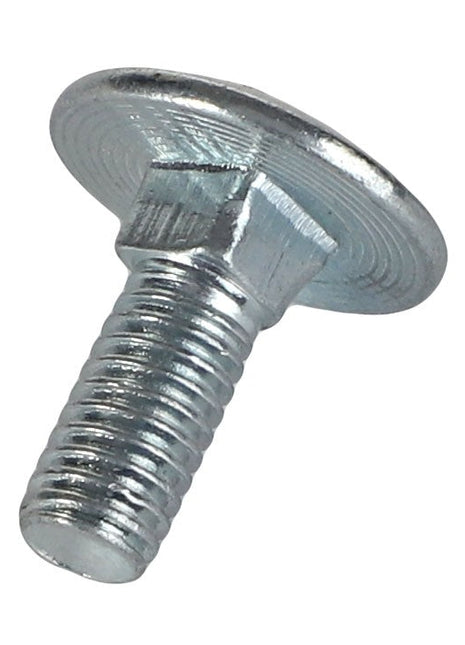 AGCO | SCREW - ACP0426660