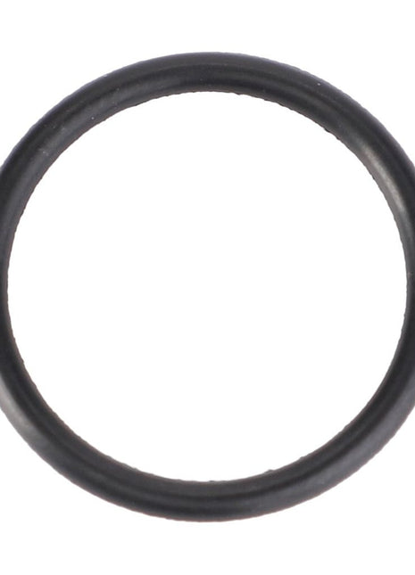 AGCO | O-Ring, Ø 17 X 1,78 Mm - X590980000000 - Massey Tractor Parts