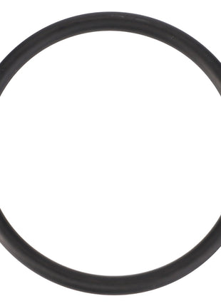 Image of the AGCO Seal, Lift Pump - F100001174706, a black rubber O-ring made from high-quality materials and typically used for sealing connections in machinery and plumbing systems to meet performance demands.