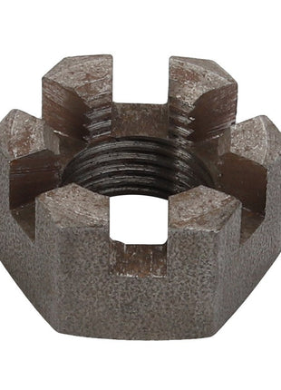 The AGCO | NUT - D25200384 is a robust metal castle nut featuring six precision slots and an internally threaded hole for secure fastening.