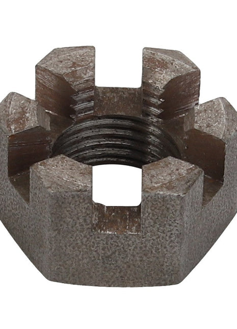 The AGCO | NUT - D25200384 is a robust metal castle nut featuring six precision slots and an internally threaded hole for secure fastening.