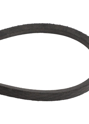 Close-up of the AGCO V BELT - D26747034, showcasing its black rubber textured surface and looped form against a stark white background.