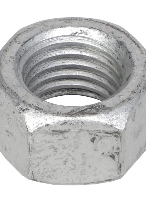 A hexagonal metal nut with a threaded inner surface, identified as the AGCO | HEX NUT - AG522719 by the brand AGCO; currently, no product description information is available.
