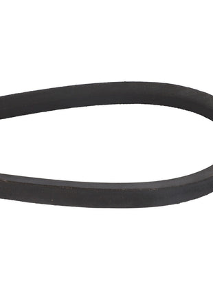 A close-up of the AGCO | V BELT - ACY9700240, a black rubber belt designed in an oval shape and typically used in machinery and engines.