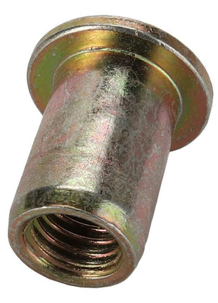 A close-up image of an AGCO | BUSH - D41028300 threaded metal insert nut with a flanged head from AGCO. The nut has a slightly worn or used surface finish, but no current product description information is available.