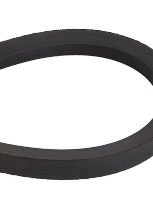 AGCO | V BELT - D41950600