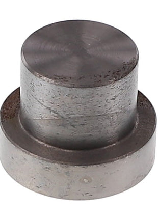 This AGCO seal, model AG706861, with a metal cylindrical design featuring a smaller cylinder on top, shows signs of wear and rust—no product description needed to tell its tale.