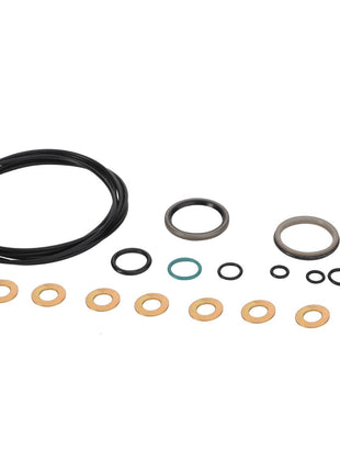 A collection of variously sized O-rings and washers from the AGCO Seal Kit - F718400090010, neatly arranged in rows against a white background.