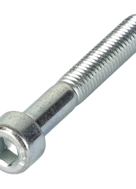 An AGCO HEX SOCKET SCREW - AL5004003 featuring a silver finish and a precisely threaded shaft.