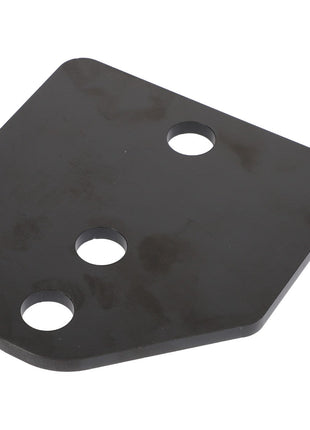 AGCO | Shim - 4389018M1 - Farming Parts