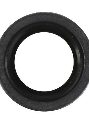 The AGCO | Sealing Washer - F530200210580 is shown from above against a white background.