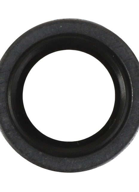 The AGCO | Sealing Washer - F530200210580 is shown from above against a white background.