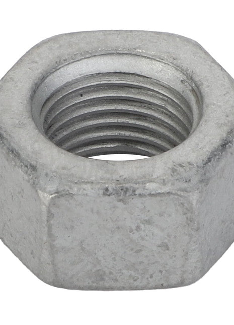 A close-up image of the AGCO Hex Nut (Acp0704570) with internal threading. Brand name: AGCO.