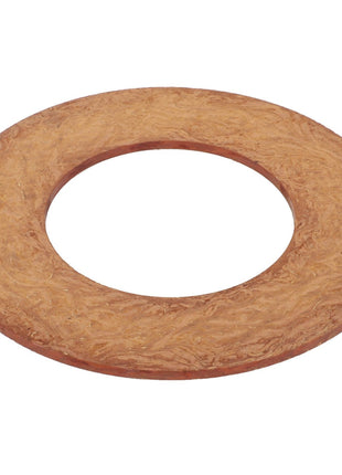 A flat, round Friction Disc - Fel103160 by AGCO with a central hole is seen from above on a white background.