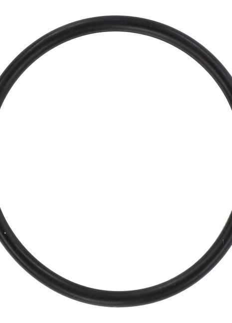 AGCO | O Ring - 394813X1 - Massey Tractor Parts