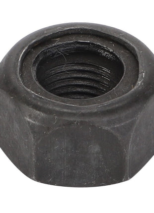 A black hex nut with an internal thread, known as the AGCO Retaining Nut - F291100320210. No current product description available.