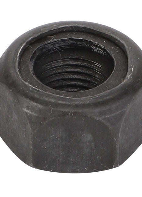 A black hex nut with an internal thread, known as the AGCO Retaining Nut - F291100320210. No current product description available.