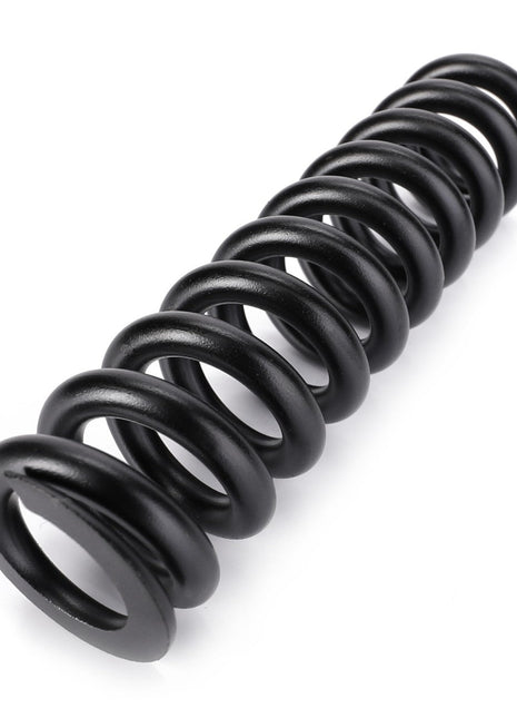 AGCO | COMPRESSION SPRING - D28210881