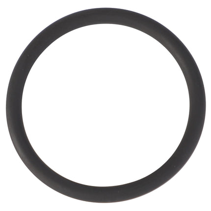 A high-quality AGCO O-Ring for injection pumps (model F119200710170) is displayed on a white background.