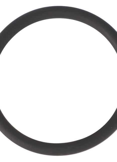 A high-quality AGCO O-Ring for injection pumps (model F119200710170) is displayed on a white background.