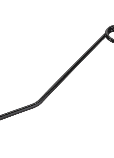 A black metal rod with a circular loop at one end and a straight, angled shaft, known as the AGCO Tine - La320779250 from the brand AGCO. No current product description available.