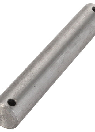 A cylindrical metal rod identified as "AGCO | PIN - V30787600" from the AGCO brand, features two holes drilled near each end. Current product description is not available.