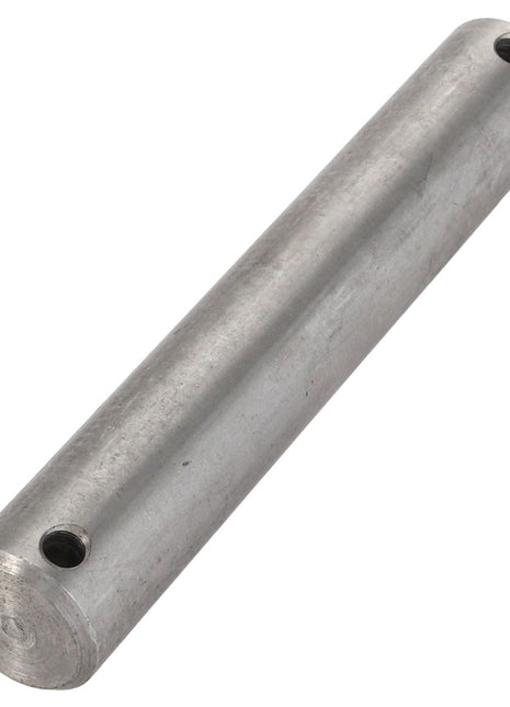 A cylindrical metal rod identified as "AGCO | PIN - V30787600" from the AGCO brand, features two holes drilled near each end. Current product description is not available.