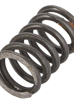 A close-up of the AGCO Spring - Acp0418080, a coiled metal compression spring. No current product description available.