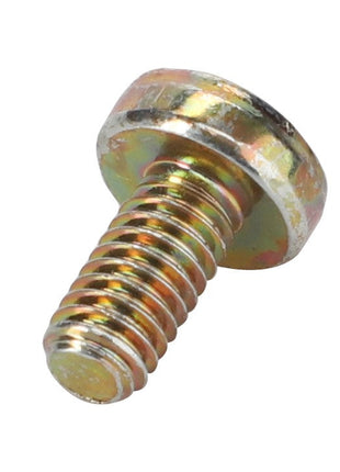 A close-up of the AGCO Pan Head Screw (3009530X1) with a flat, hexagonal head and a short threaded shaft. This product features precise threading for secure fastening.
