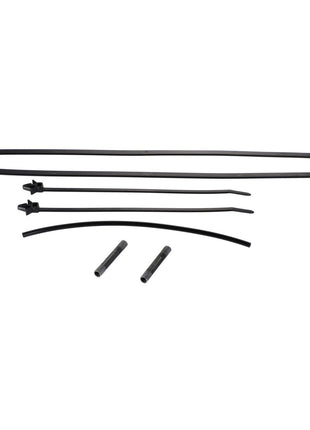 Several black cable ties and two small cylindrical items from the AGCO Small Parts Kit - F931502030210 are neatly arranged on a plain white background.