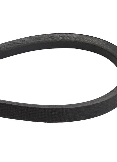 AGCO | V BELT - D41928900