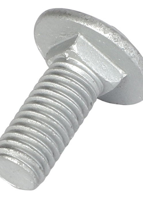 AGCO | Round Head Square Neck Carriage Bolt - Acw0997800 - Farming Parts