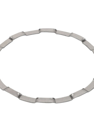 AGCO | SPACER RING - D41679500