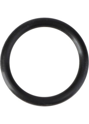 AGCO | O-Ring, Hydraulics - 831497M1 - Massey Tractor Parts