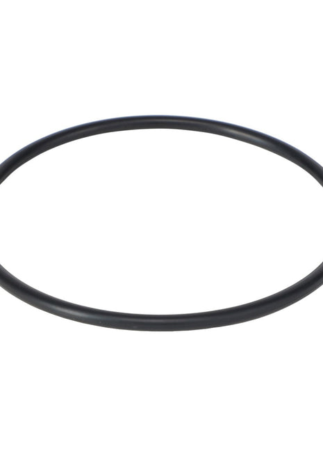 AGCO | GASKET - AG428431