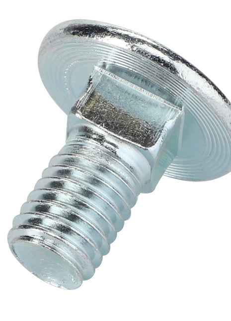 AGCO | TRUSS HEAD SCREW - 0903-10-70-00