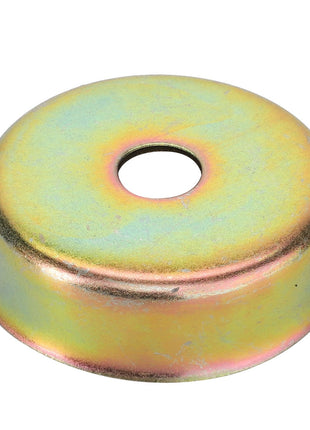 The AGCO BOWL - V31079400 is a metallic, disc-shaped object featuring a central hole and a slightly raised edge. It has a multi-colored finish on its surface. Currently, there is no additional product description information available.