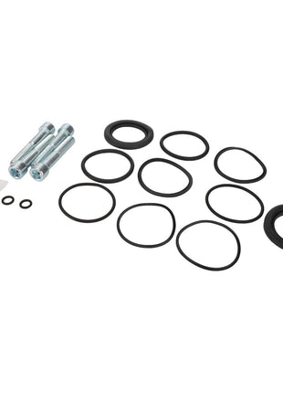 The AGCO | Repair Kit, Seals - Acw1434400 by AGCO includes a variety of automotive repair parts such as bolts, O-rings in various sizes, a small packet of lubricant, and specialized brake repair components.