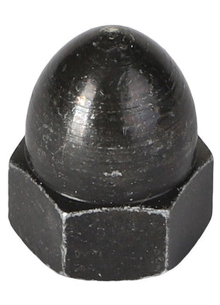 The AGCO HEX NUT - AG844574 is a black acorn nut featuring a hexagonal base and a smooth, rounded top. No current product description information is available.