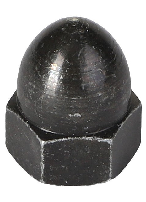 The AGCO HEX NUT - AG844574 is a black acorn nut featuring a hexagonal base and a smooth, rounded top. No current product description information is available.