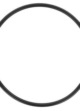 A sleek AGCO O RING - D45476400, black and circular, set against a pristine white background.