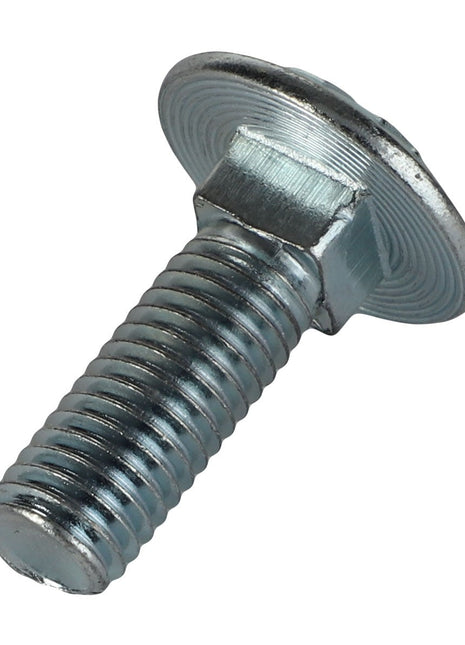 Close-up of the AGCO | SCREW - AL5006002, featuring a sleek metal carriage bolt with a rounded head, a threaded shaft, and a slightly raised square section just beneath the head.