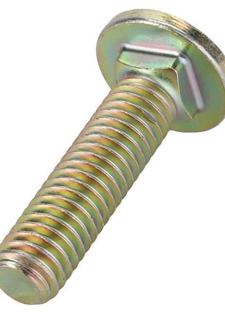 AGCO | CARRIAGE BOLT - AG522439