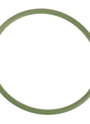 A round green rubber O-ring against a white background; unfortunately, no current product description information is available for the AGCO | O-RING - F835100490020 from AGCO.