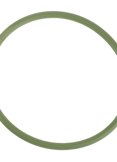A round green rubber O-ring against a white background; unfortunately, no current product description information is available for the AGCO | O-RING - F835100490020 from AGCO.