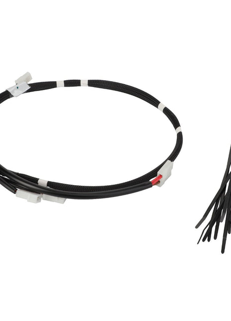 AGCO | WIRE HARNESS - F930500030020