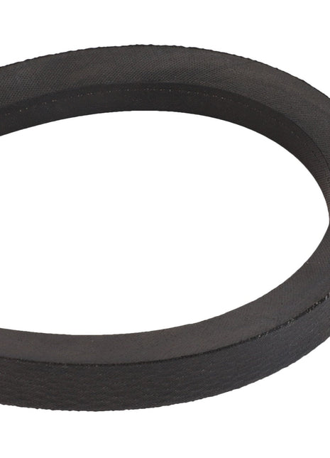 AGCO | V BELT - D41988700