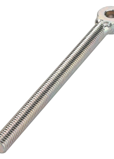 AGCO | Eye Bolt - Acw4828470 - Farming Parts
