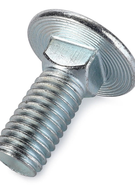 AGCO | Round Head Square Neck Carriage Bolt - Va020630 - Farming Parts