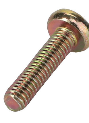 AGCO | Pan Head Screw - 3009532X1 - Farming Parts